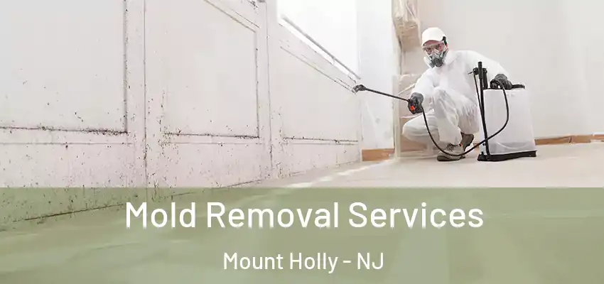  Mold Removal Services Mount Holly - NJ