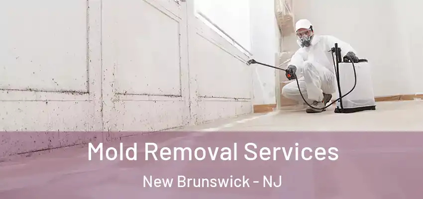 Mold Removal Services New Brunswick - NJ