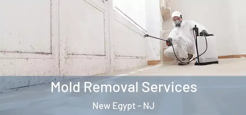  Mold Removal Services New Egypt - NJ