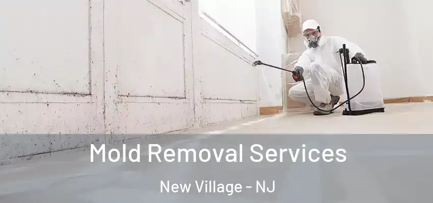  Mold Removal Services New Village - NJ