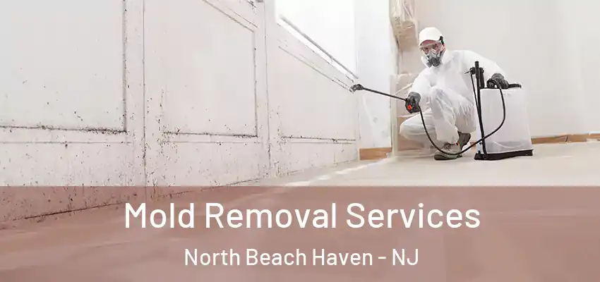 Mold Removal Services North Beach Haven - NJ