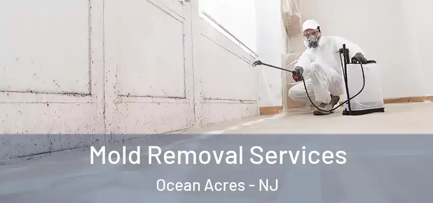 Mold Removal Services Ocean Acres - NJ