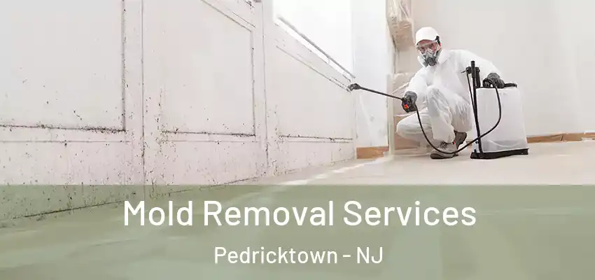 Mold Removal Services Pedricktown - NJ