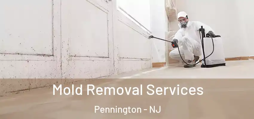  Mold Removal Services Pennington - NJ