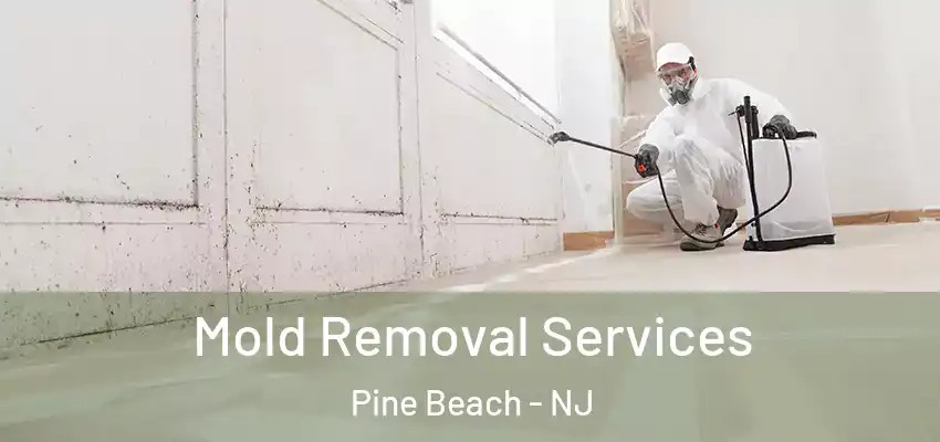 Mold Removal Services Pine Beach - NJ