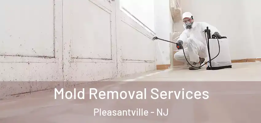 Mold Removal Services Pleasantville - NJ