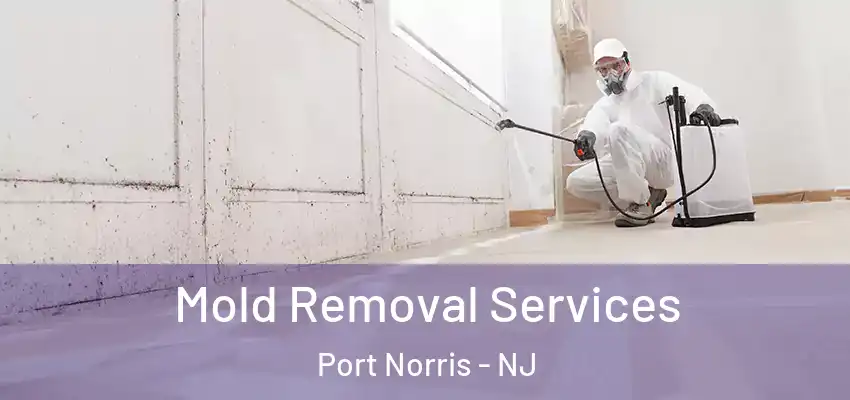 Mold Removal Services Port Norris - NJ