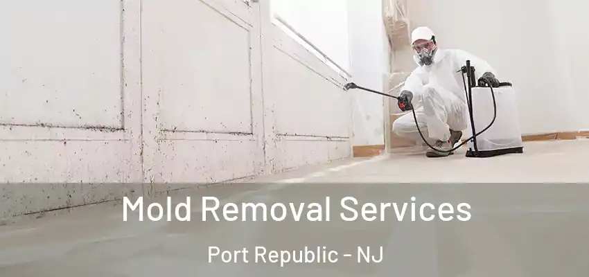 Mold Removal Services Port Republic - NJ