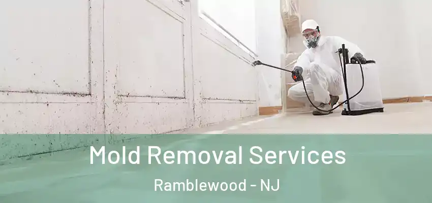 Mold Removal Services Ramblewood - NJ