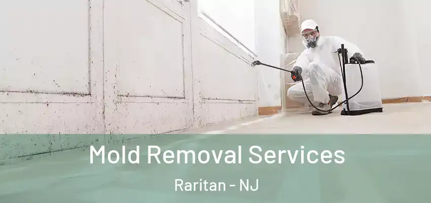 Mold Removal Services Raritan - NJ