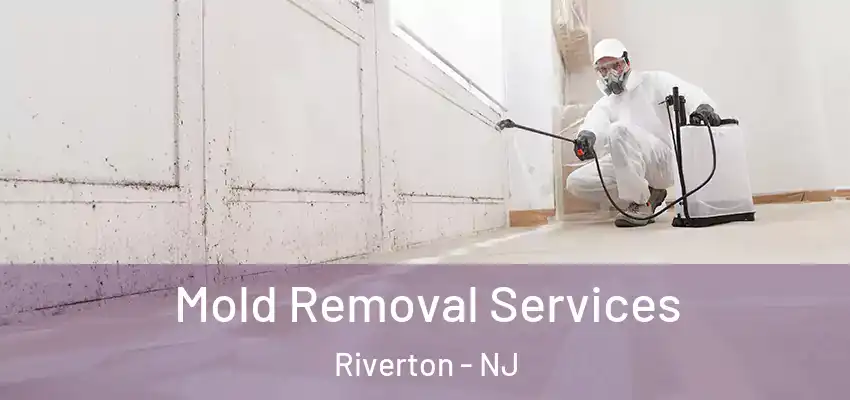  Mold Removal Services Riverton - NJ
