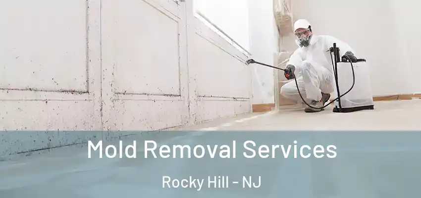 Mold Removal Services Rocky Hill - NJ