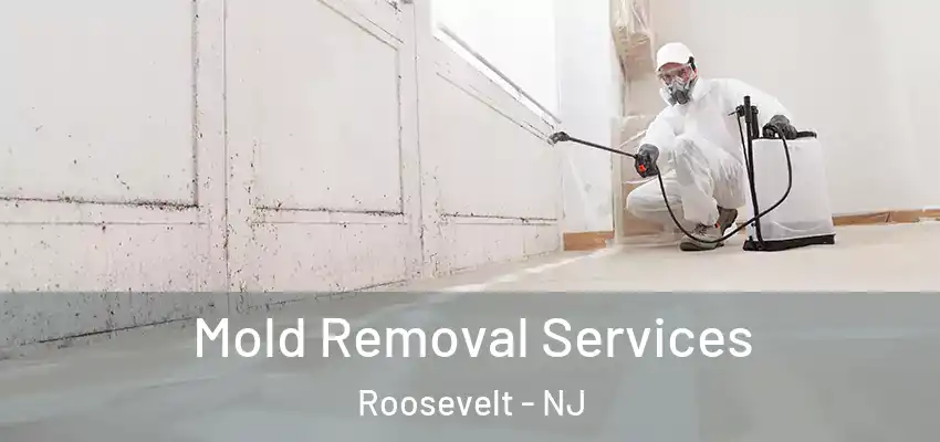  Mold Removal Services Roosevelt - NJ