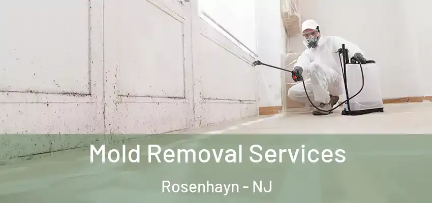  Mold Removal Services Rosenhayn - NJ
