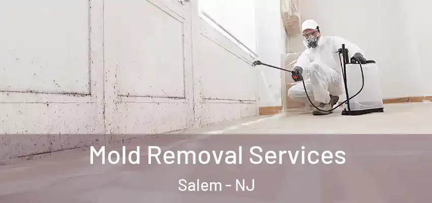  Mold Removal Services Salem - NJ