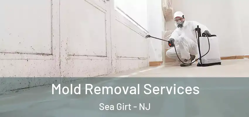 Mold Removal Services Sea Girt - NJ