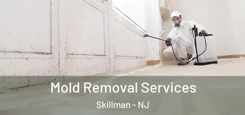  Mold Removal Services Skillman - NJ