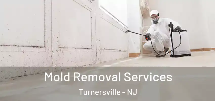 Mold Removal Services Turnersville - NJ