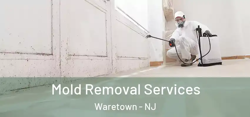  Mold Removal Services Waretown - NJ