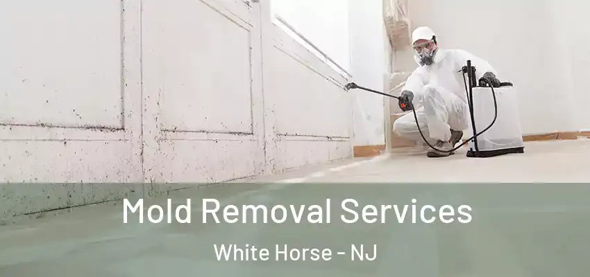 Mold Removal Services White Horse - NJ