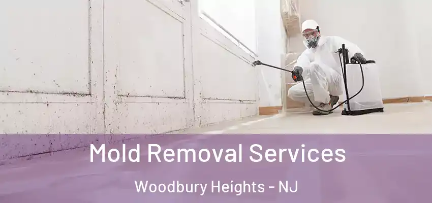 Mold Removal Services Woodbury Heights - NJ
