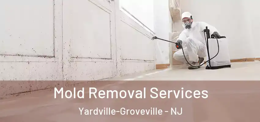 Mold Removal Services Yardville-Groveville - NJ