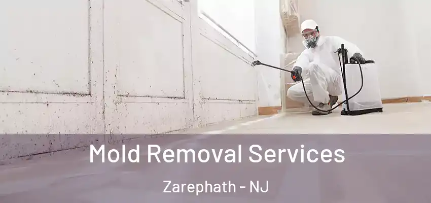 Mold Removal Services Zarephath - NJ