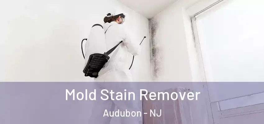  Mold Stain Remover Audubon - NJ