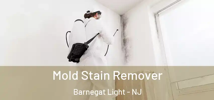  Mold Stain Remover Barnegat Light - NJ