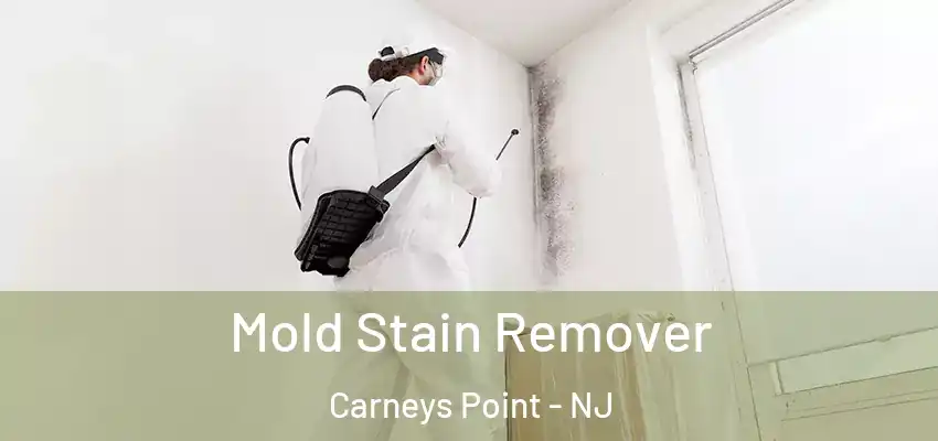  Mold Stain Remover Carneys Point - NJ