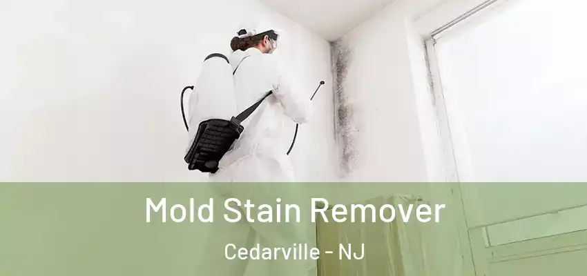  Mold Stain Remover Cedarville - NJ