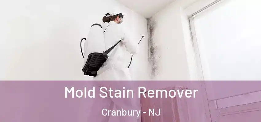  Mold Stain Remover Cranbury - NJ