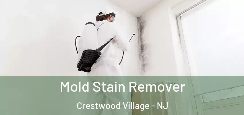Mold Stain Remover Crestwood Village - NJ
