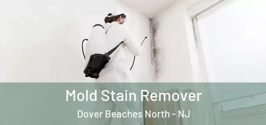 Mold Stain Remover Dover Beaches North - NJ