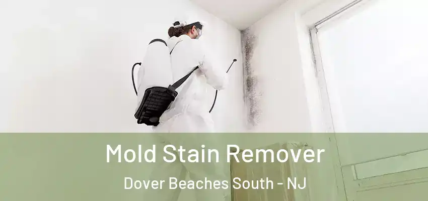 Mold Stain Remover Dover Beaches South - NJ