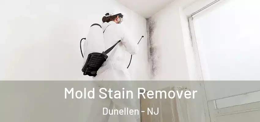 Mold Stain Remover Dunellen - NJ