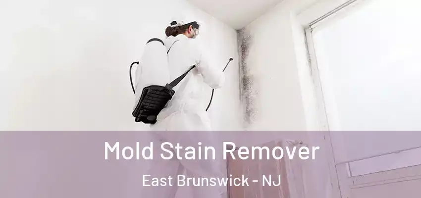 Mold Stain Remover East Brunswick - NJ