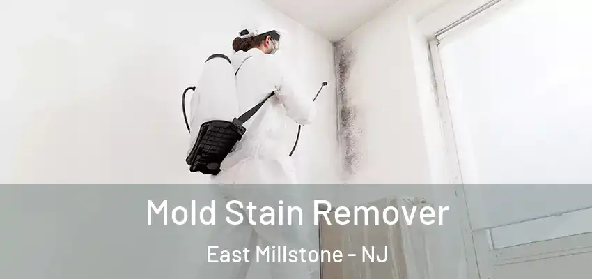 Mold Stain Remover East Millstone - NJ