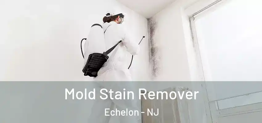  Mold Stain Remover Echelon - NJ