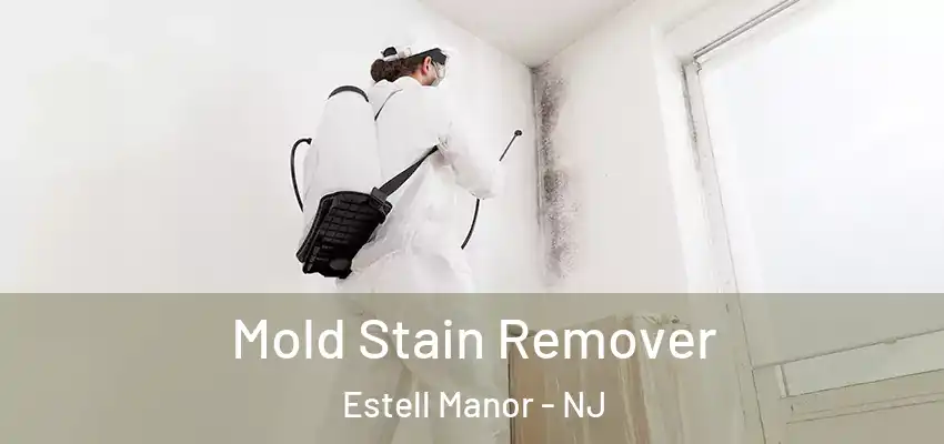  Mold Stain Remover Estell Manor - NJ