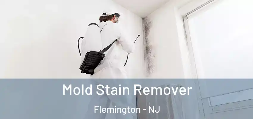  Mold Stain Remover Flemington - NJ