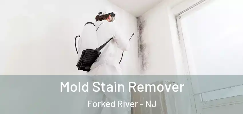  Mold Stain Remover Forked River - NJ