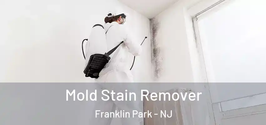 Mold Stain Remover Franklin Park - NJ