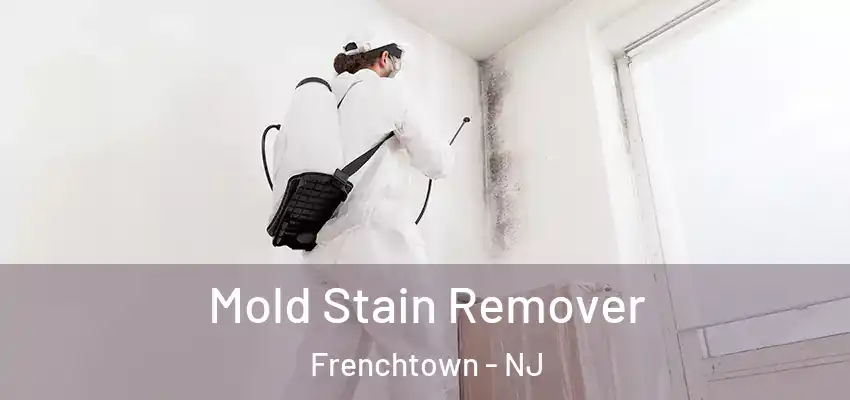 Mold Stain Remover Frenchtown - NJ