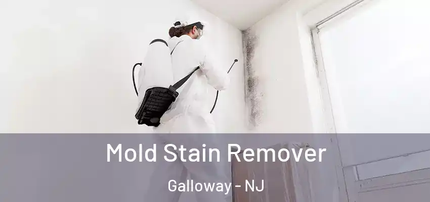 Mold Stain Remover Galloway - NJ