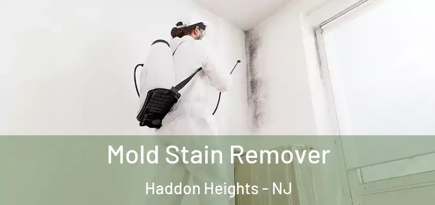  Mold Stain Remover Haddon Heights - NJ