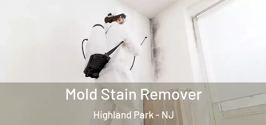 Mold Stain Remover Highland Park - NJ