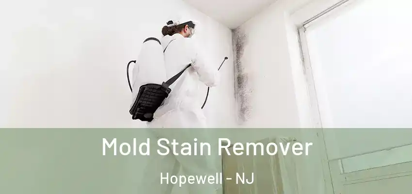 Mold Stain Remover Hopewell - NJ