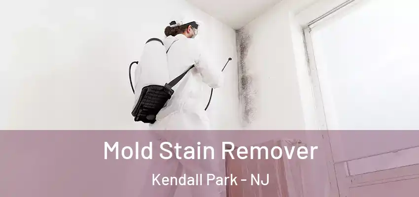Mold Stain Remover Kendall Park - NJ