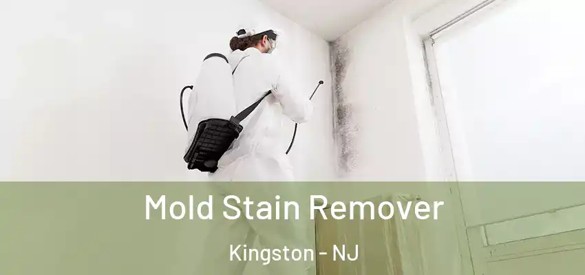  Mold Stain Remover Kingston - NJ